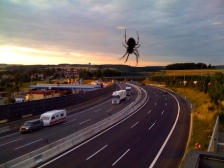 The Attack Of The Bavarian Super-Spider